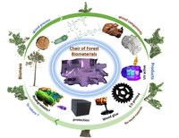 FMF-Science is an Art-Professur für Forstliche Biomaterialien-F1 (2).tif